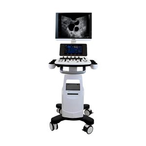Ultrasonido CHISON CBit 4 con 3 transductores: convexo, lineal y vaginal
